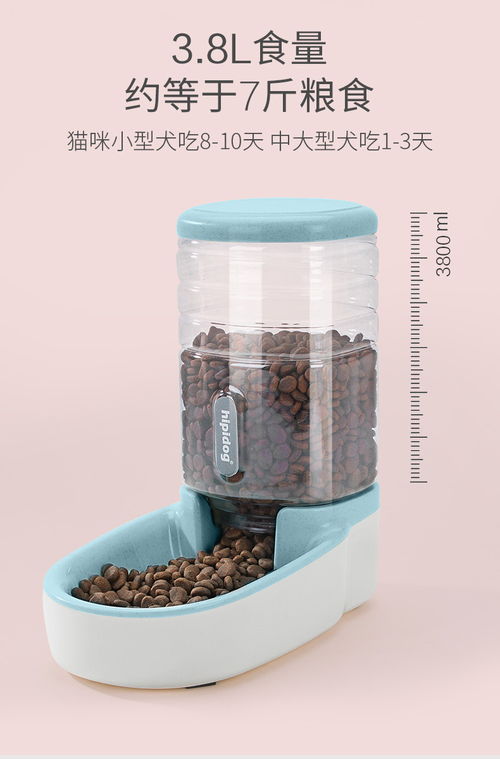 宠物智能喂养器 让爱宠的饮食与饮水更科学、便捷